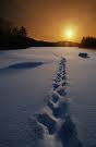 14th Sun.-Ord. Time-B